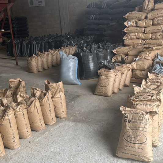 Peruvian Caturra Honey SC06 - Anaerobic Specialty Coffee
