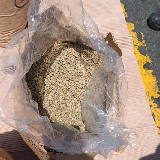 Peruvian Caturra Honey SS07 - Anaerobic Specialty Coffee